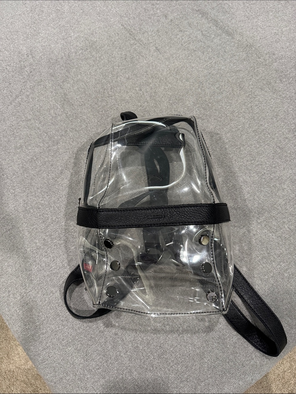 Hammitt clear stadium small backpack